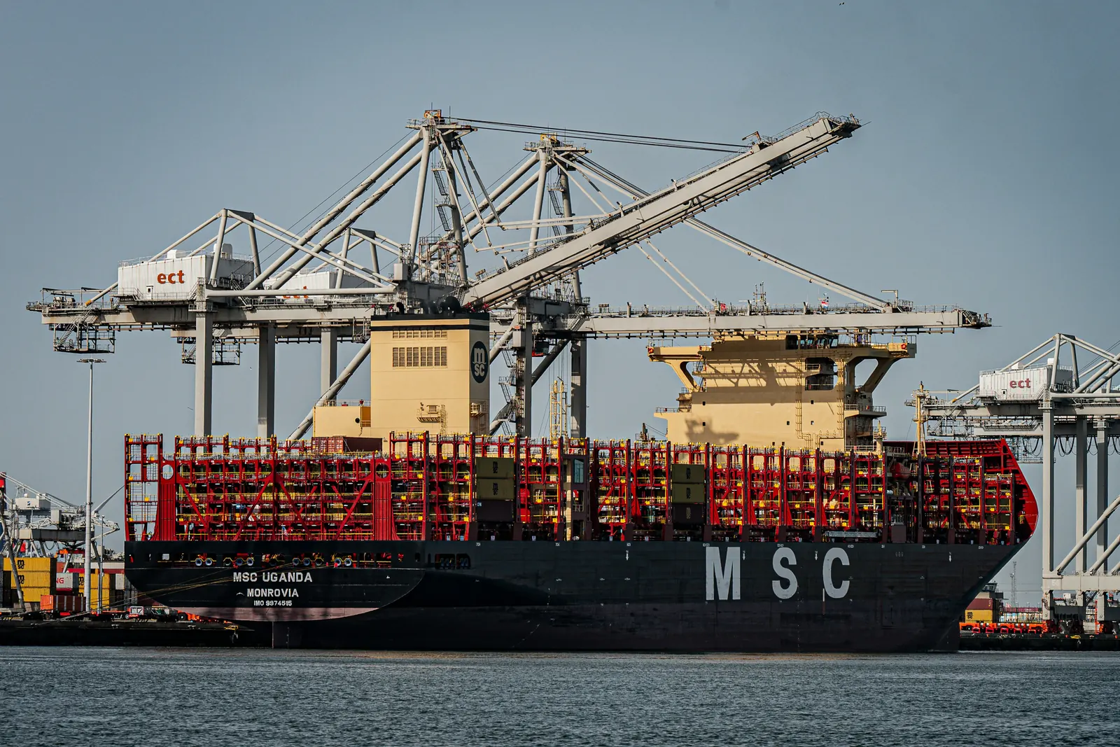 An MSC container ship docked under port cranes, MSC on its hull