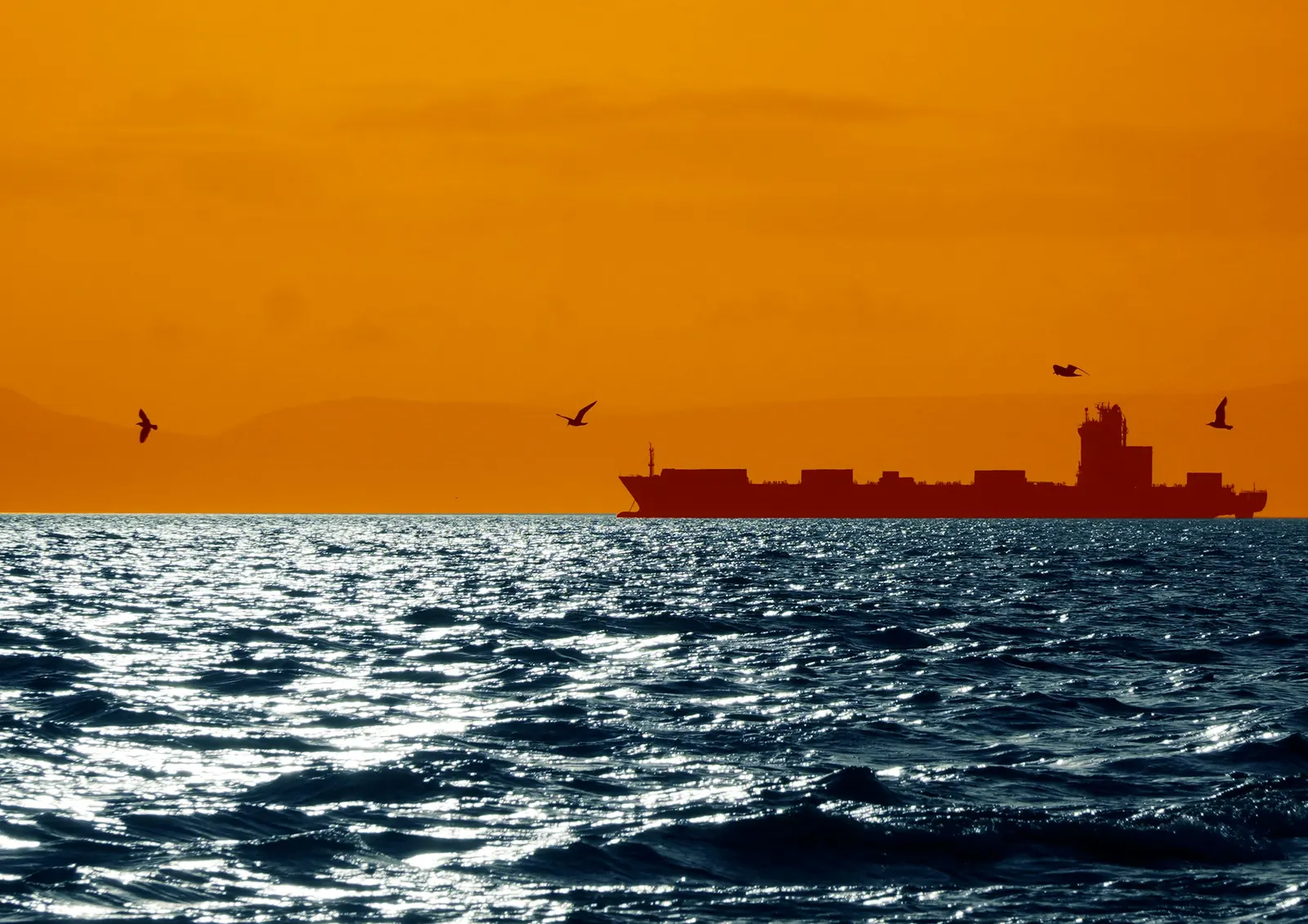 A container ship in silhouette on the horizon at sunset
